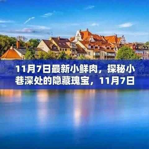 探秘小巷深处的隐藏瑰宝,揭秘最新小鲜肉特色小店(11月7日更新)