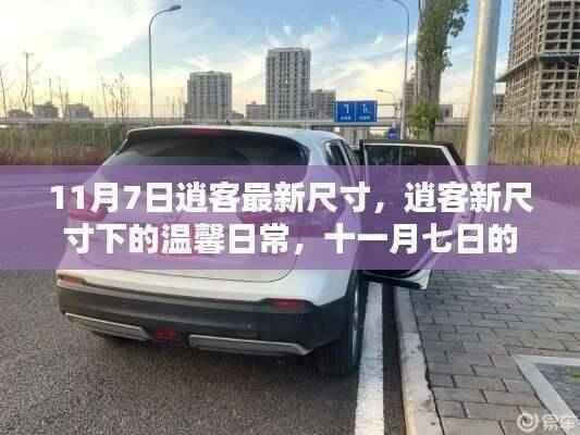 11月7日逍客新尺寸揭秘,温馨日常与美好时光
