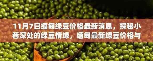 探秘缅甸绿豆情缘,最新价格与美味故事(11月7日更新)