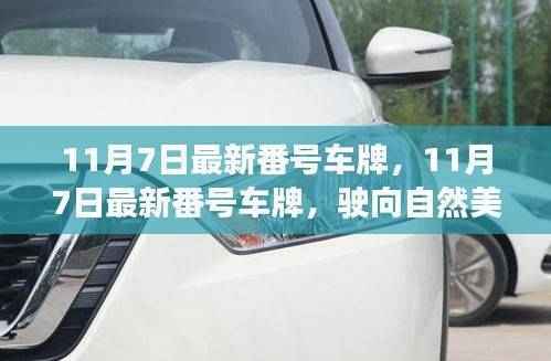 11月7日最新番号车牌,11月7日最新番号车牌,驶向自然美景的心灵之旅