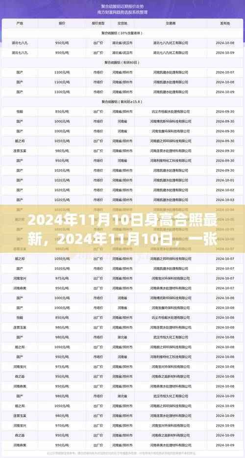 爱的身高大合照,背后的温馨故事与成长记录