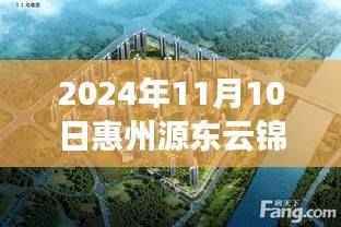2024年惠州源东云锦最新状况全面评测与介绍