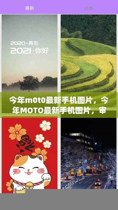 今年MOTO最新手机图片,审美趋势与个人立场的探索