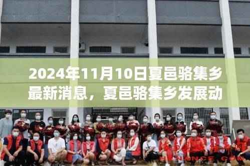 XXXX年夏邑骆集乡最新发展动态深度解读与观点探讨，以未来视角看夏邑骆集乡的蜕变之路