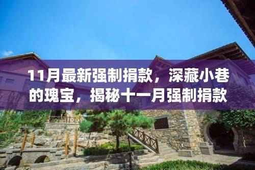 揭秘十一月强制捐款背后的独特小店故事,深藏小巷的瑰宝