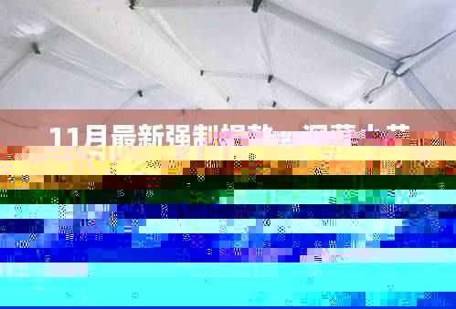 揭秘十一月强制捐款背后的独特小店故事,深藏小巷的瑰宝