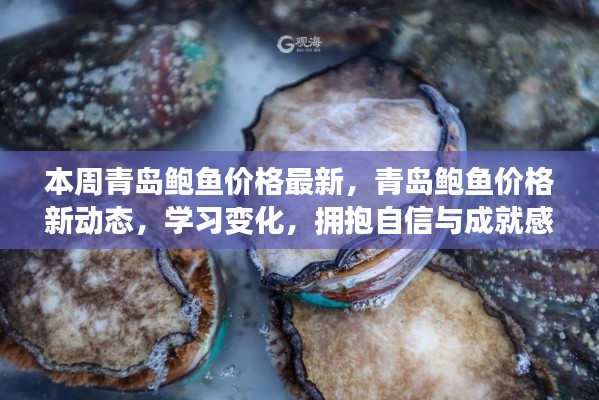 青岛鲍鱼价格新动态,励志之旅,拥抱自信与成就感的探索之旅