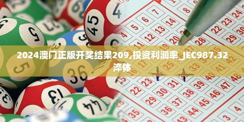 2024澳门正版开奖结果209,投资利润率_JEC987.32淬体