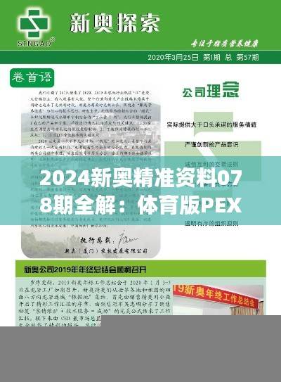 2024新奥精准资料078期全解：体育版PEX611.65方案深度剖析