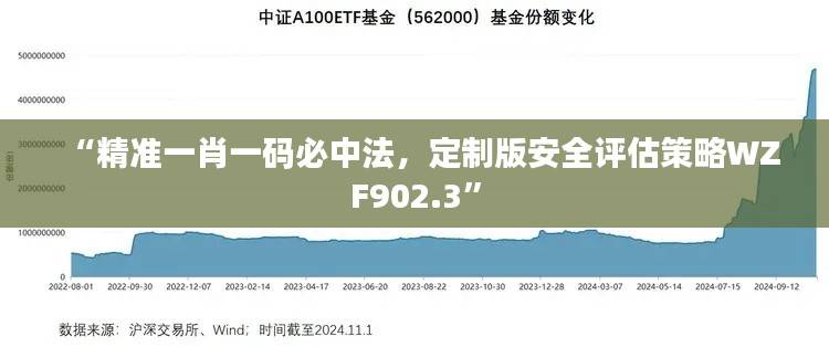 “精准一肖一码必中法,定制版安全评估策略WZF902.3”