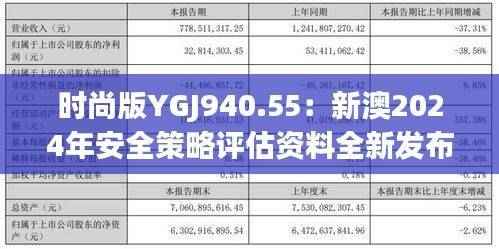 时尚版YGJ940.55:新澳2024年安全策略评估资料全新发布