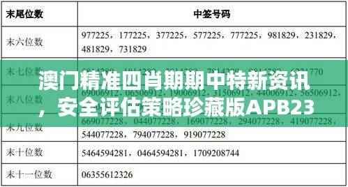 澳门精准四肖期期中特新资讯,安全评估策略珍藏版APB239.36