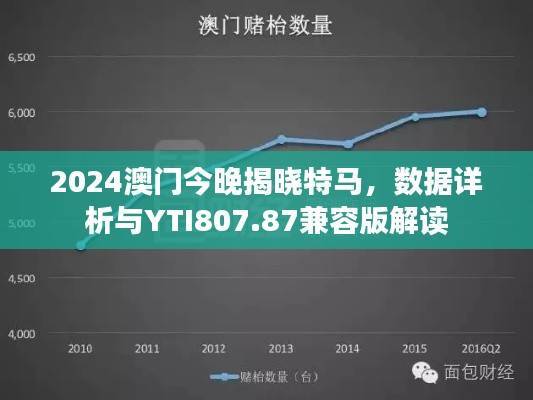 2024澳门今晚揭晓特马,数据详析与YTI807.87兼容版解读