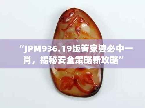“JPM936.19版管家婆必中一肖,揭秘安全策略新攻略”