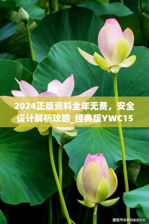 2024正版资料全年无费,安全设计解析攻略_经典版YWC153.26