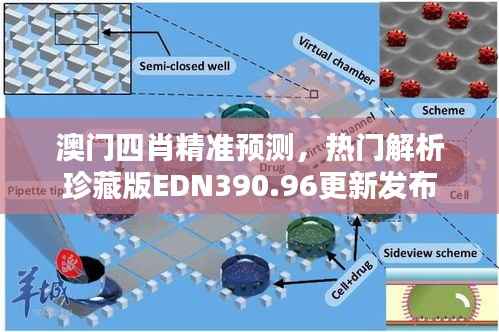 澳门四肖精准预测，热门解析珍藏版EDN390.96更新发布