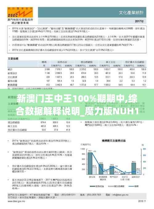 新澳门王中王100%期期中,综合数据解释说明_魔力版NUH141.19
