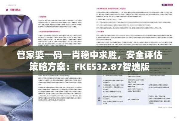 管家婆一码一肖稳中求胜,安全评估策略方案:FKE532.87智选版