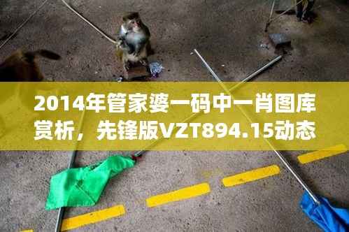2014年管家婆一码中一肖图库赏析,先锋版VZT894.15动态解读