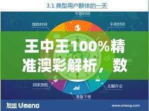 王中王100%精准澳彩解析,数据详实,版URP758.77活跃