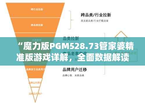 “魔力版PGM528.73管家婆精准版游戏详解,全面数据解读”