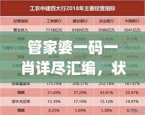 管家婆一码一肖详尽汇编,状态评估与解读_智力版IKV107.87
