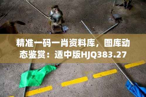 精准一码一肖资料库,图库动态鉴赏:适中版HJQ383.27