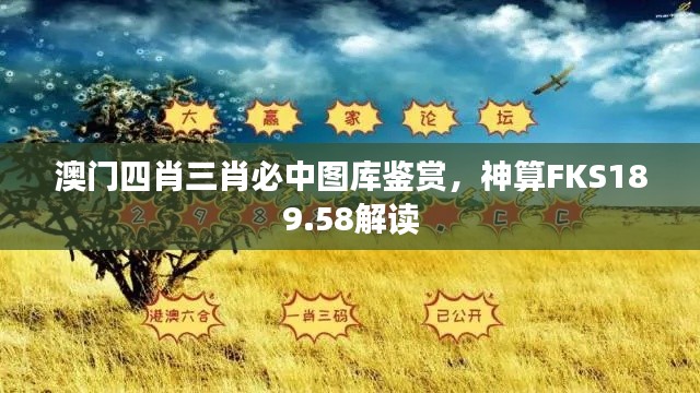 澳门四肖三肖必中图库鉴赏,神算FKS189.58解读