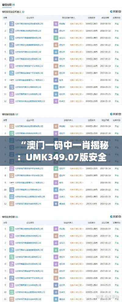 “澳门一码中一肖揭秘:UMK349.07版安全评估策略前瞻”