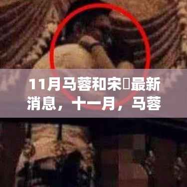 11月马蓉与宋喆最新动态，心灵之旅中的自然美景探索之旅
