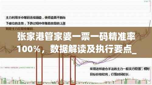 张家港管家婆一票一码精准率100%,数据解读及执行要点_主力版BWV283.03