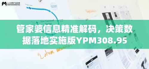 管家婆信息精准解码,决策数据落地实施版YPM308.95