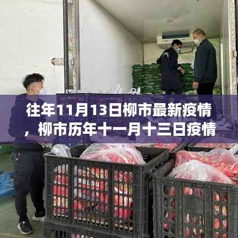 柳市历年11月13日疫情回顾，生命与希望的战役最新动态