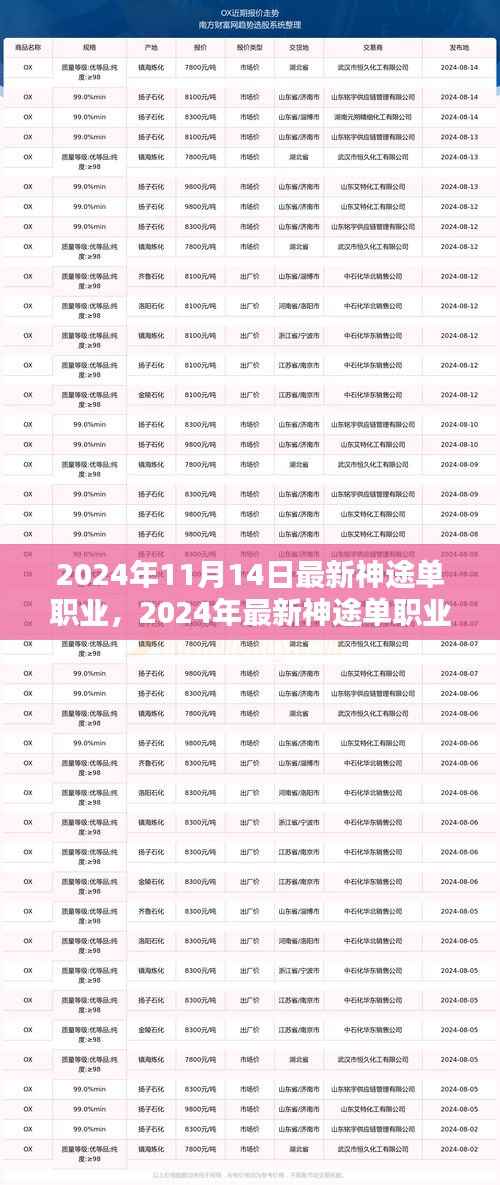 2024年最新神途单职业攻略,从初学者到进阶用户的全方位指南