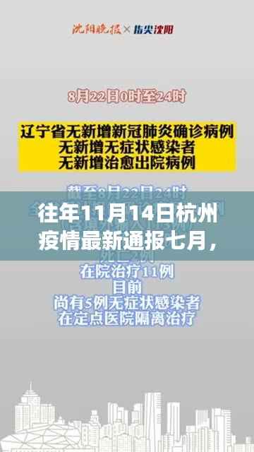 往年11月14日杭州疫情最新通报解读,七月疫情态势及其影响分析