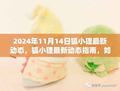 狐小狸最新动态指南,迈向进阶之路(附详细解读与行动指南)