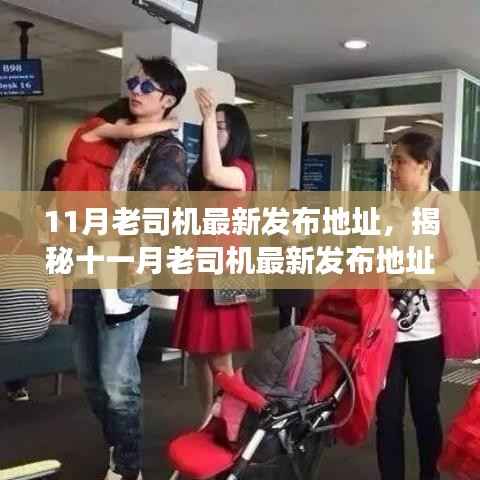 揭秘十一月老司机最新发布地址,背景、重大事件与领域地位的回顾