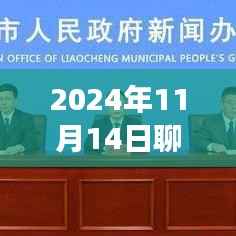 聊城特殊日子温情确诊之旅,最新进展与日常观察(2024年11月14日)