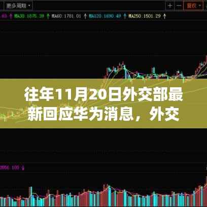 外交部关于华为的最新回应,全面解析与指南(面向初学者与进阶用户)