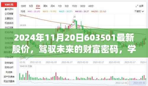 驾驭未来财富密码,揭秘最新股价,自信闪耀在2024年11月20日的股市风云中