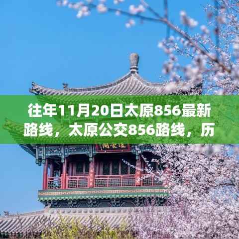 太原公交856路线,历史变迁、最新动态与影响回顾