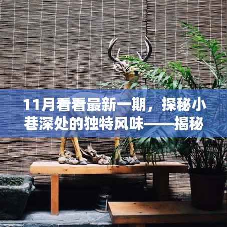 揭秘最新一期隐藏小巷深处的特色小店,独特风味探秘之旅
