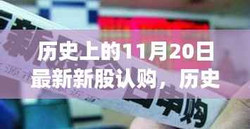 最新新股认购热潮,以11月20日新股认购为例的历史高峰回顾