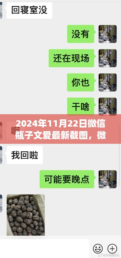 微信瓶子文爱新篇章,启程心灵之旅,探寻自然秘境的最新截图