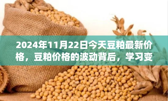 豆粕价格波动背后的故事,学习变化,收获自信与成就感 —— 2024年11月22日豆粕最新价格分析