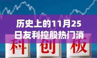 探寻内心平静的力量,友利控股与自然美景的邂逅之旅(历史上的11月25日)