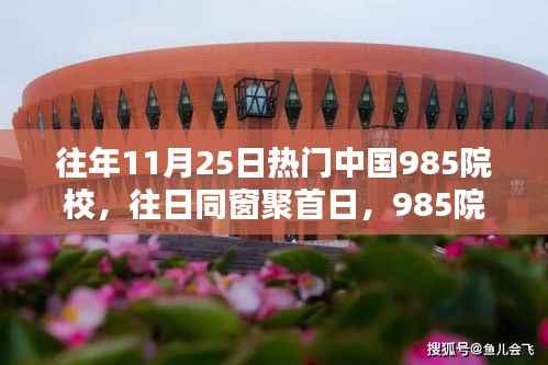 往年11月25日热门中国985院校，往日同窗聚首日，985院校温馨回忆行