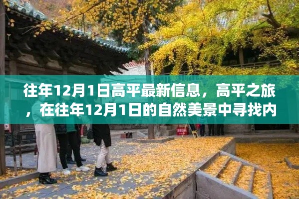 往年12月1日高平之旅,自然美景中的内心平静探寻