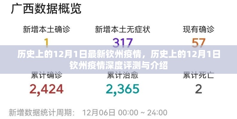 历史上的12月1日钦州疫情深度解析与介绍