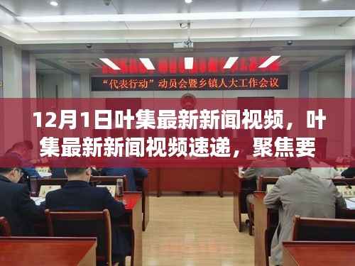 叶集最新新闻视频速递,聚焦时事动态,洞悉12月1日要点